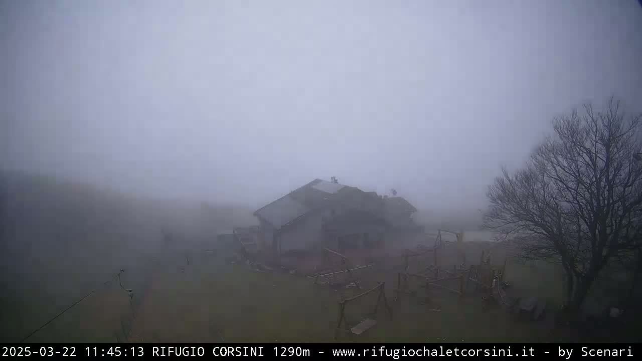 A house sits in a foggy, outdoor setting with a bare tree in the foreground.