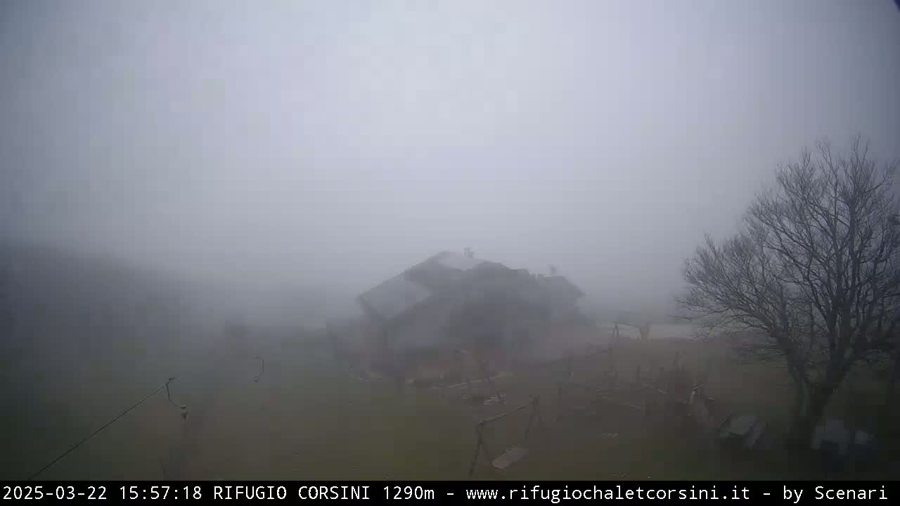 A building is barely visible through thick fog, with a bare tree in the foreground.