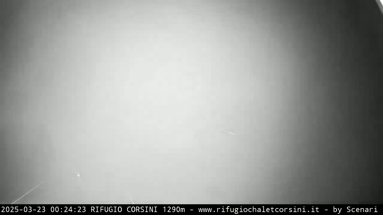 A blurry, gray-toned outdoor scene shows heavy fog or mist.