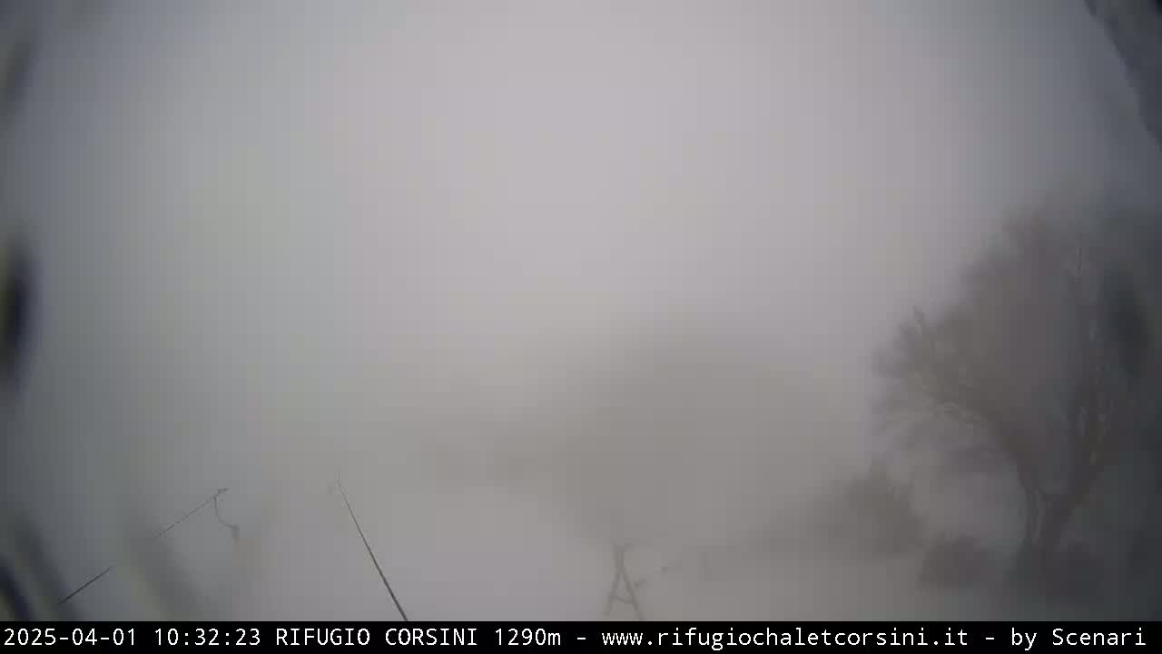 A thick fog obscures the view of trees and what appears to be a ski lift in a mountainous area.