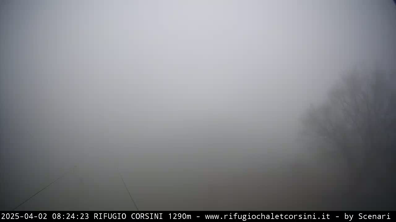A thick fog obscures the view of a sparsely treed landscape.