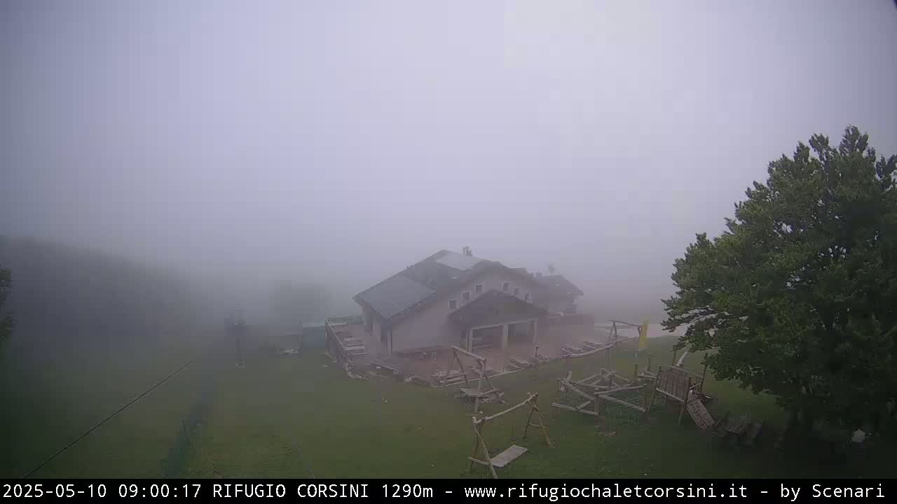 A building with a playground sits in heavy fog on a grassy area next to a tree.