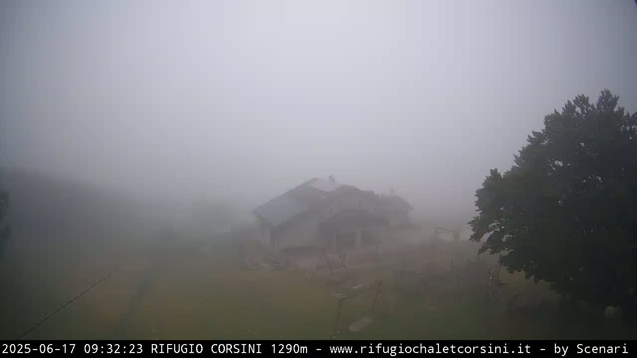 A house and tree are barely visible through a thick fog.