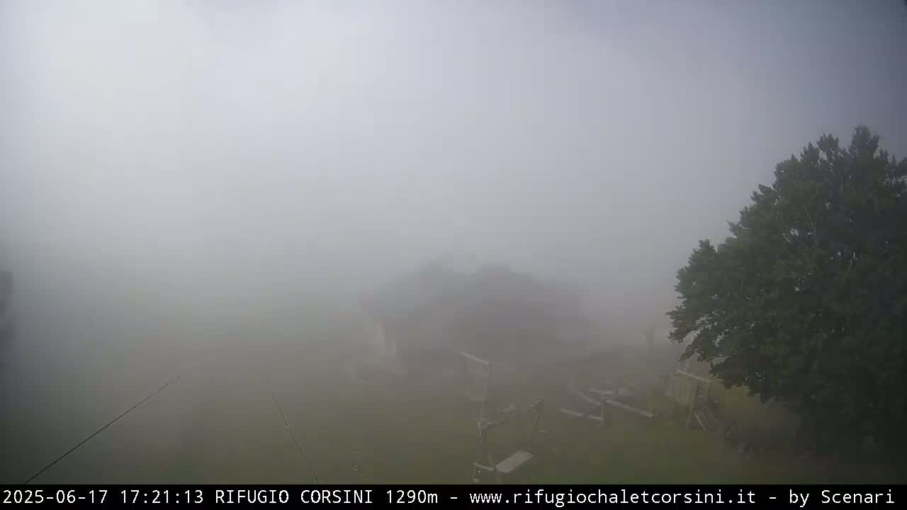 A foggy outdoor scene shows a tree and some indistinct structures partially obscured by dense fog.