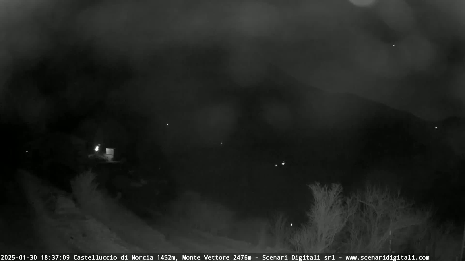A nighttime, hazy view of a dark landscape with sparse vegetation and a few distant lights.