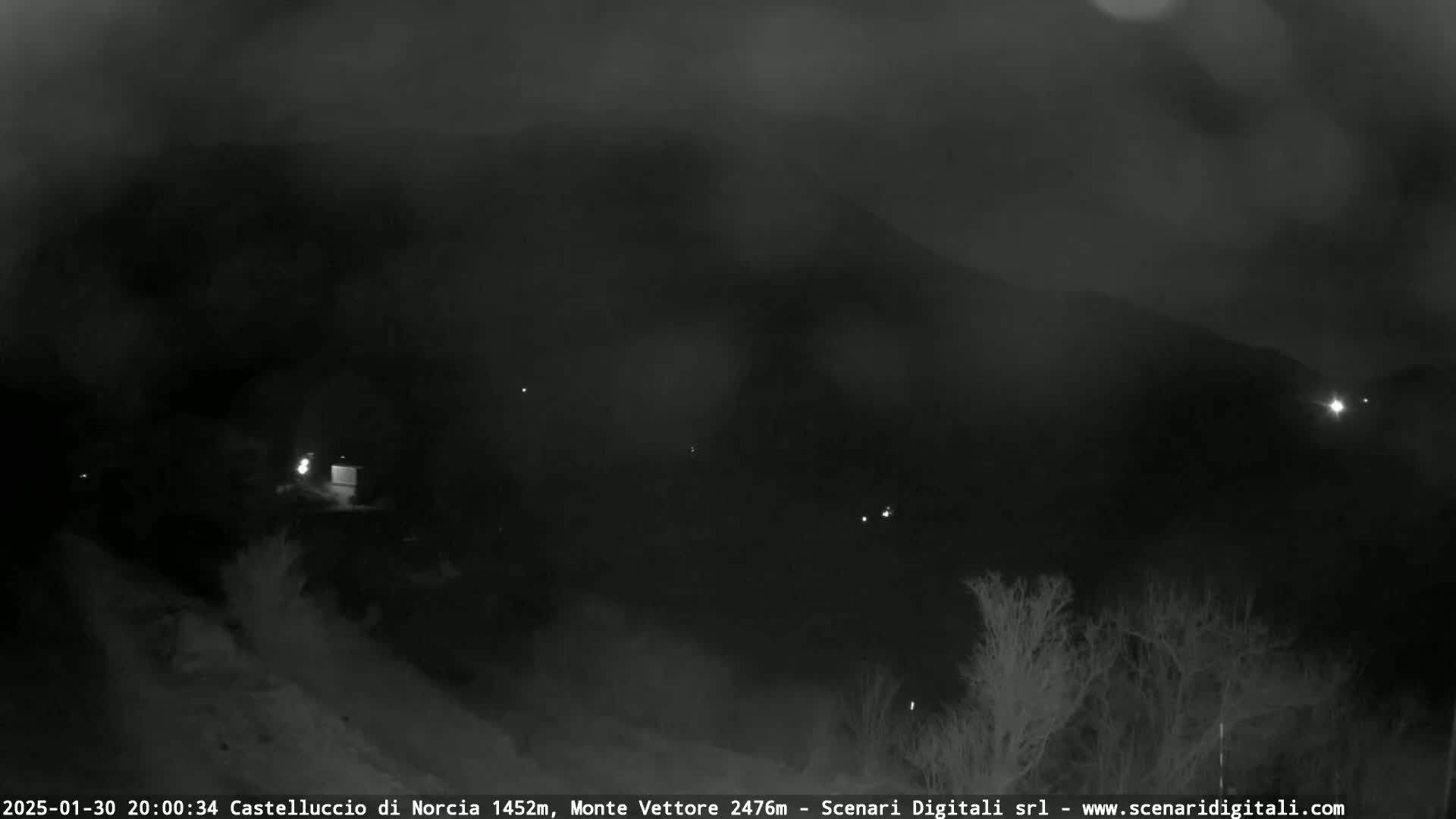A nighttime, hazy view of a dark landscape with sparse, leafless trees and a few distant lights.