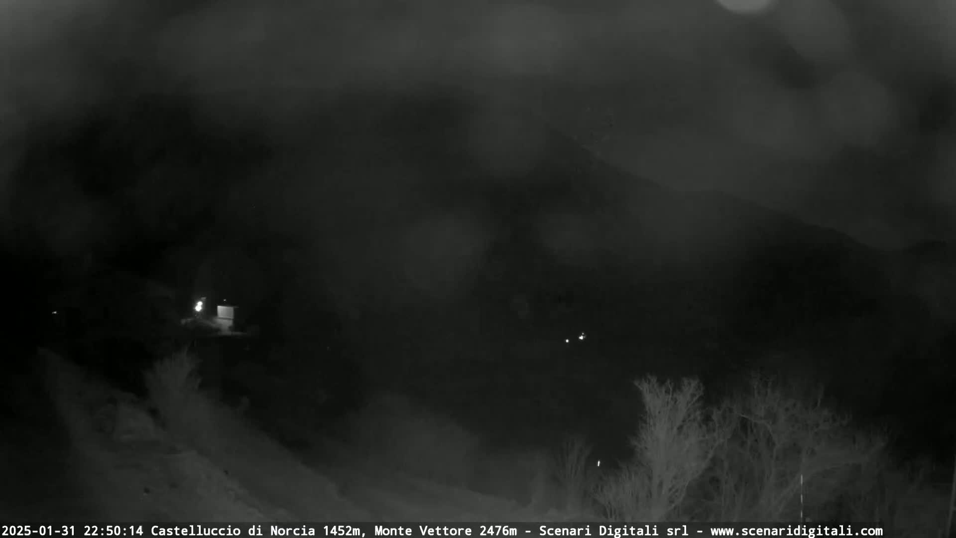 A nighttime, low-light view of a dark, possibly foggy or cloudy landscape with sparsely scattered trees and a few faint lights in the distance.