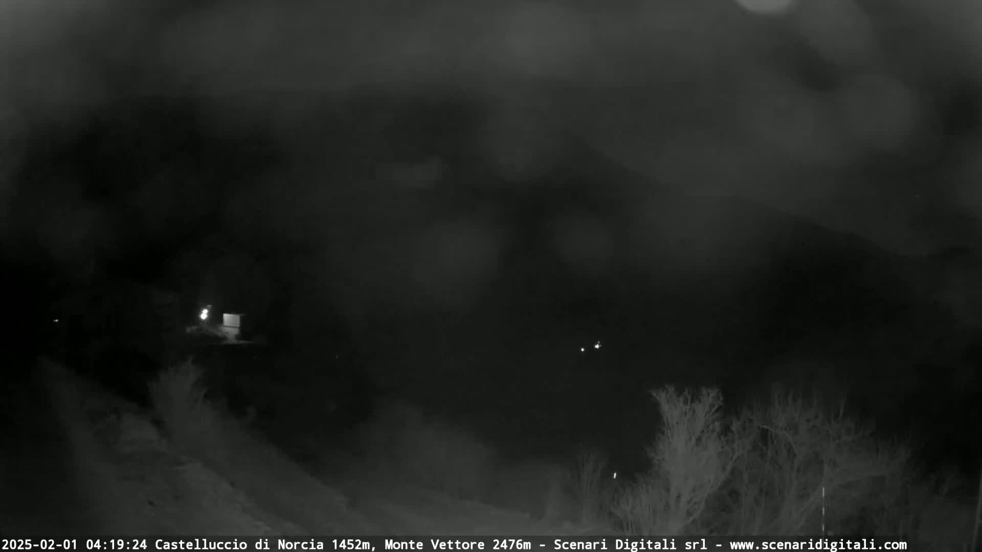 A nighttime, foggy view shows a dark landscape with sparse, leafless trees and faint lights in the distance.