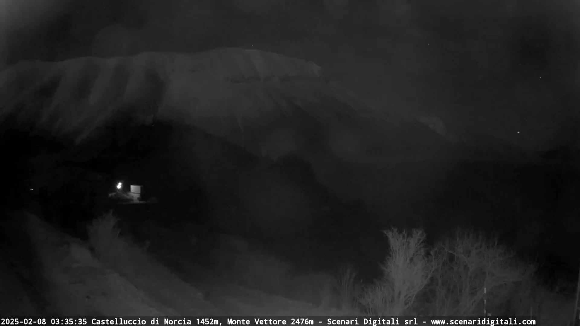 A nighttime, low-light view shows a snow-covered mountain in the distance, with sparse, dark trees in the foreground.
