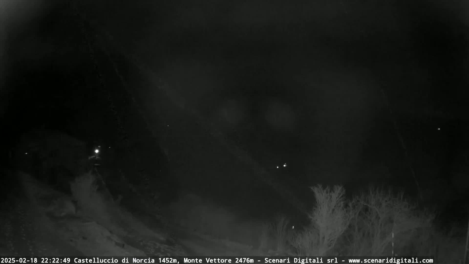 A nighttime, low-light view of a snow-covered landscape with sparse trees and faint lights in the distance.