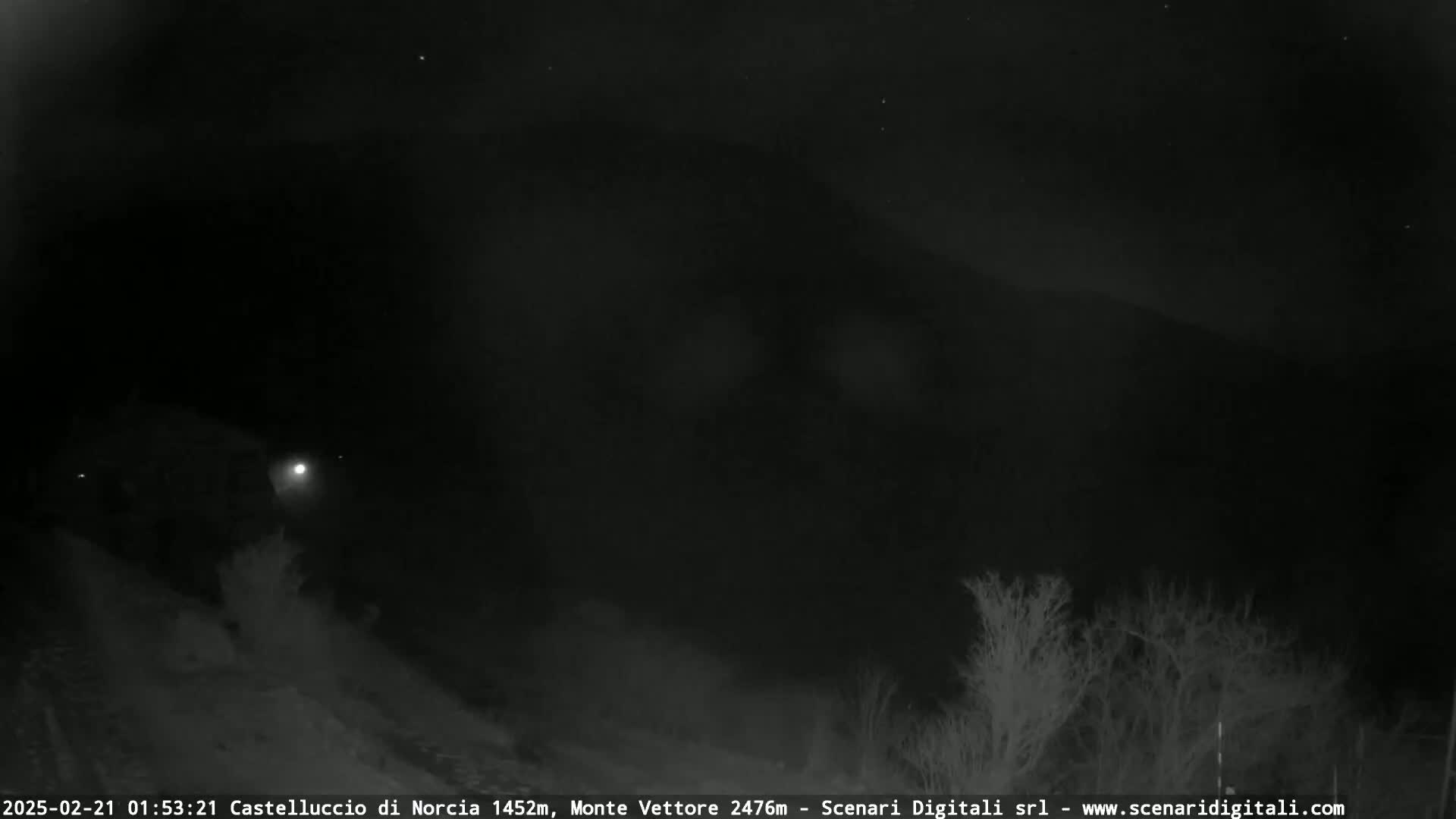 A nighttime, low-light view shows dark, silhouetted trees and hills under a mostly clear, dark sky with a few visible stars.