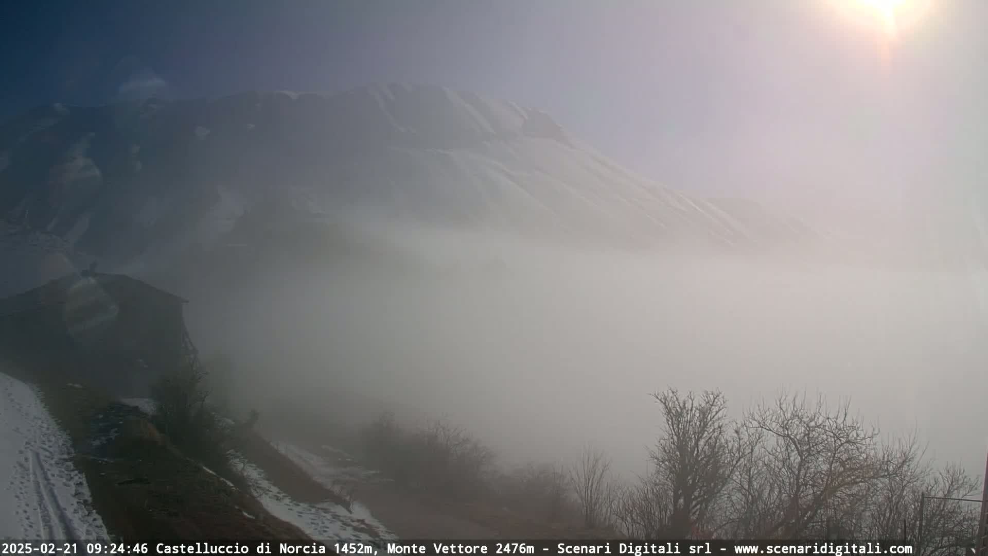 A snow-dusted mountain peak is partially obscured by thick fog, with a small building and bare trees visible in the foreground.