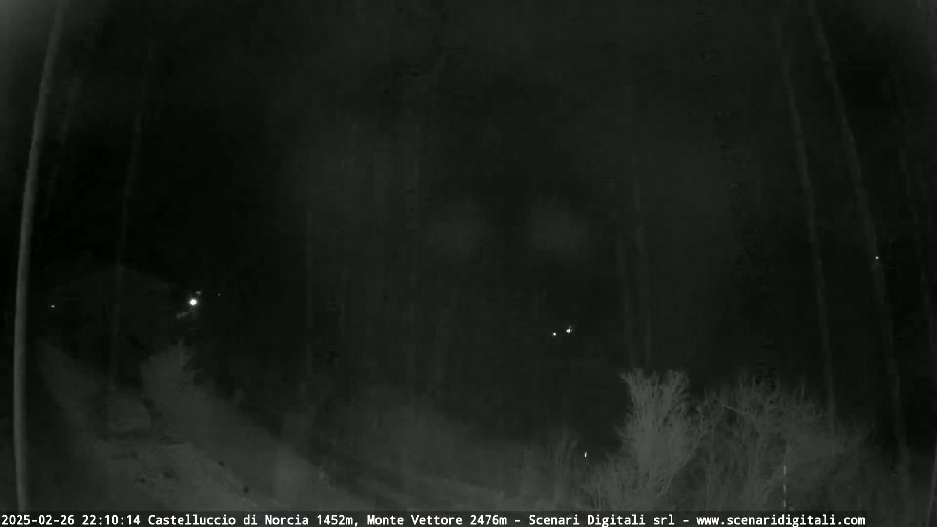A nighttime, low-light image shows a dark, wooded area with a few distant lights visible.