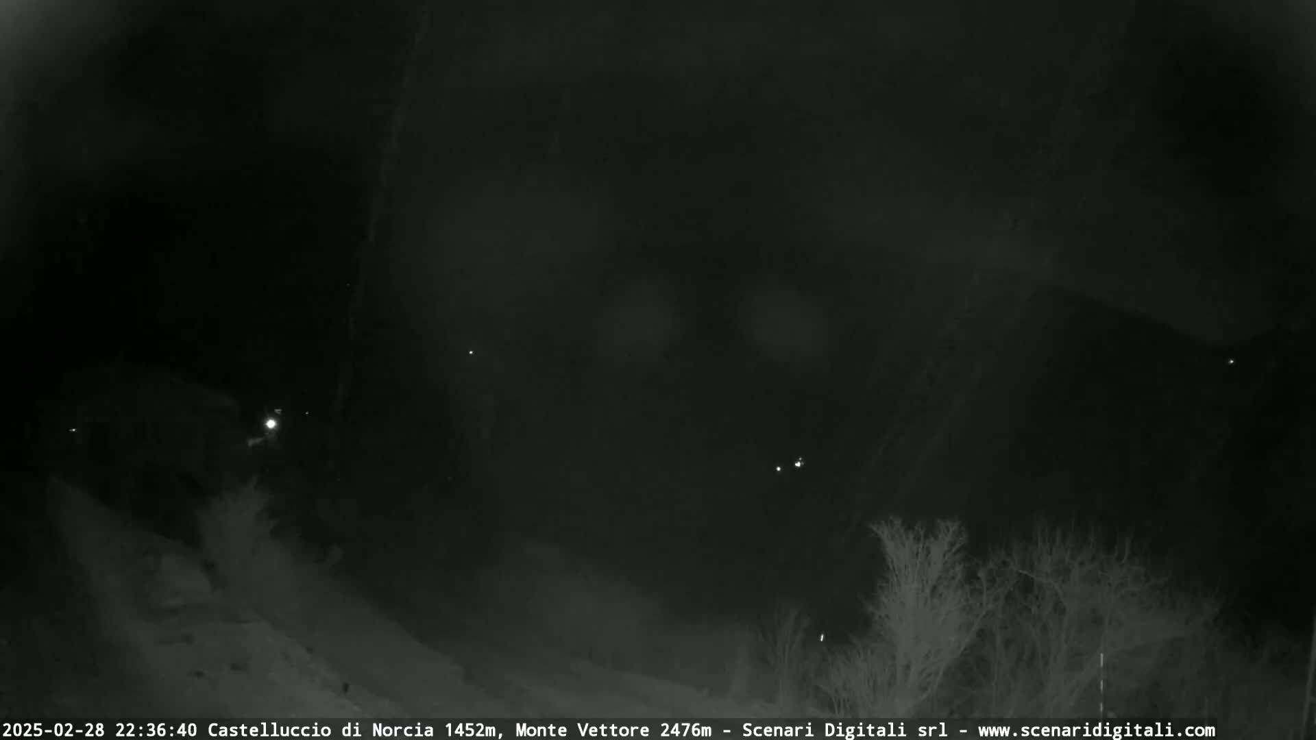 A nighttime, low-light view of a snow-covered landscape with sparse, dark trees and a few distant lights.
