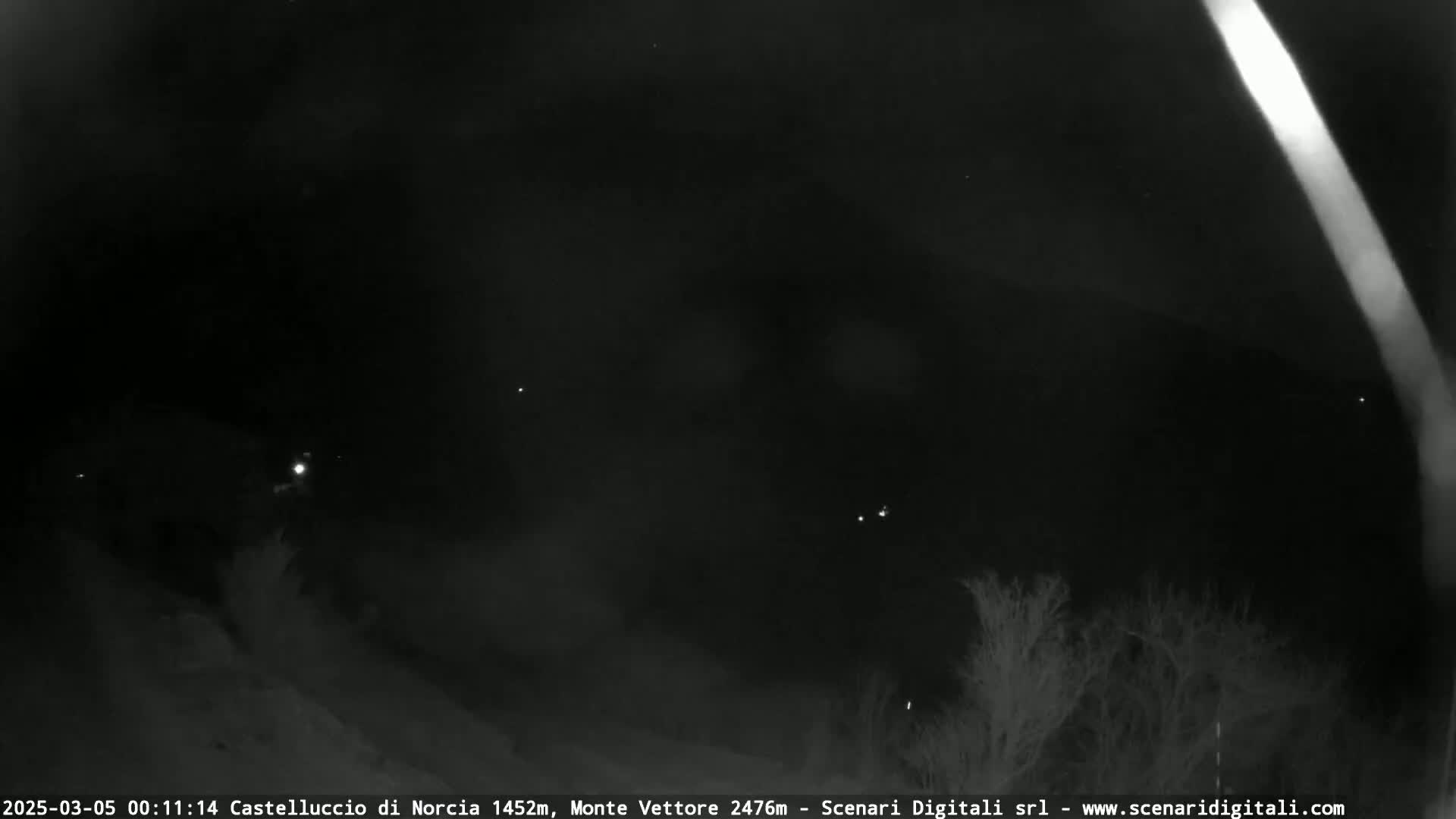 A nighttime, low-light outdoor scene shows dark, silhouetted trees and a few distant lights under a mostly clear sky.