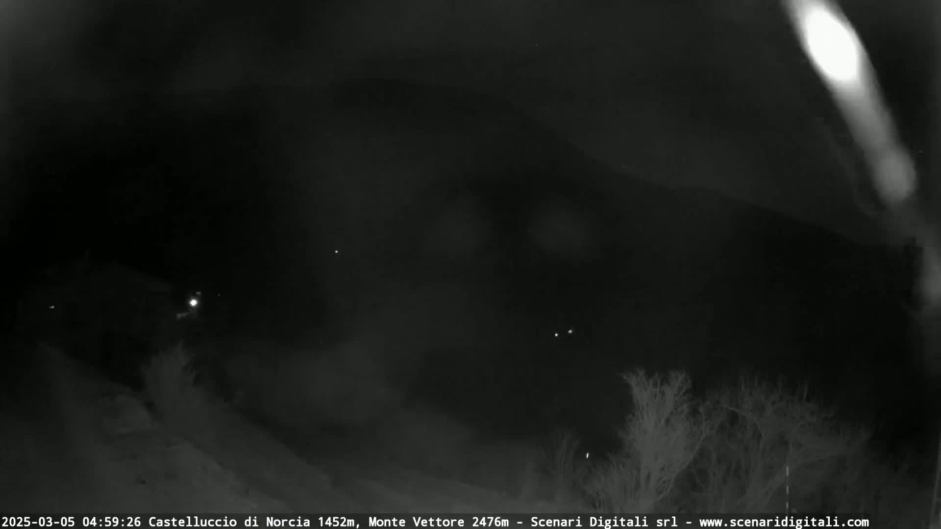 A nighttime, low-light image shows a dark landscape with sparse, leafless trees and a few distant lights.