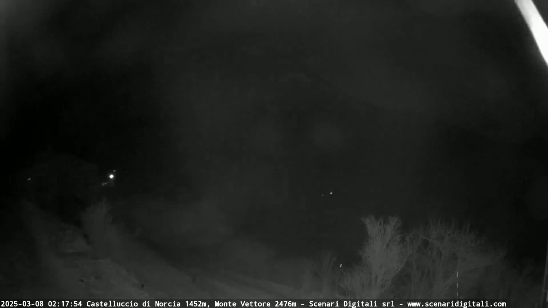 A nighttime, low-light outdoor scene shows a dark, possibly foggy or snowy landscape with some sparse vegetation visible in the lower right corner.