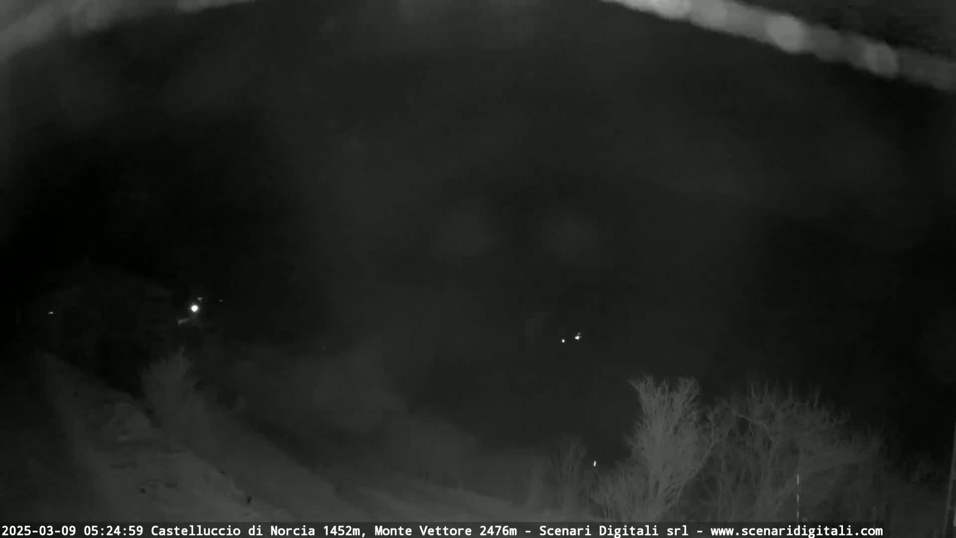 A nighttime, low-light view of a dark landscape with sparse, silhouetted trees and a few distant lights.