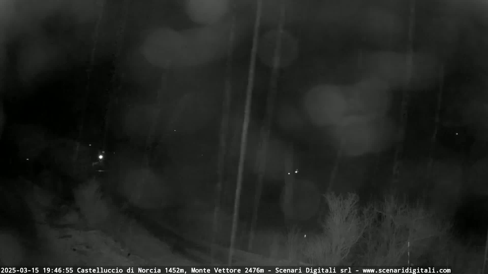 A nighttime, snowy scene shows dark trees and faint lights in the distance.