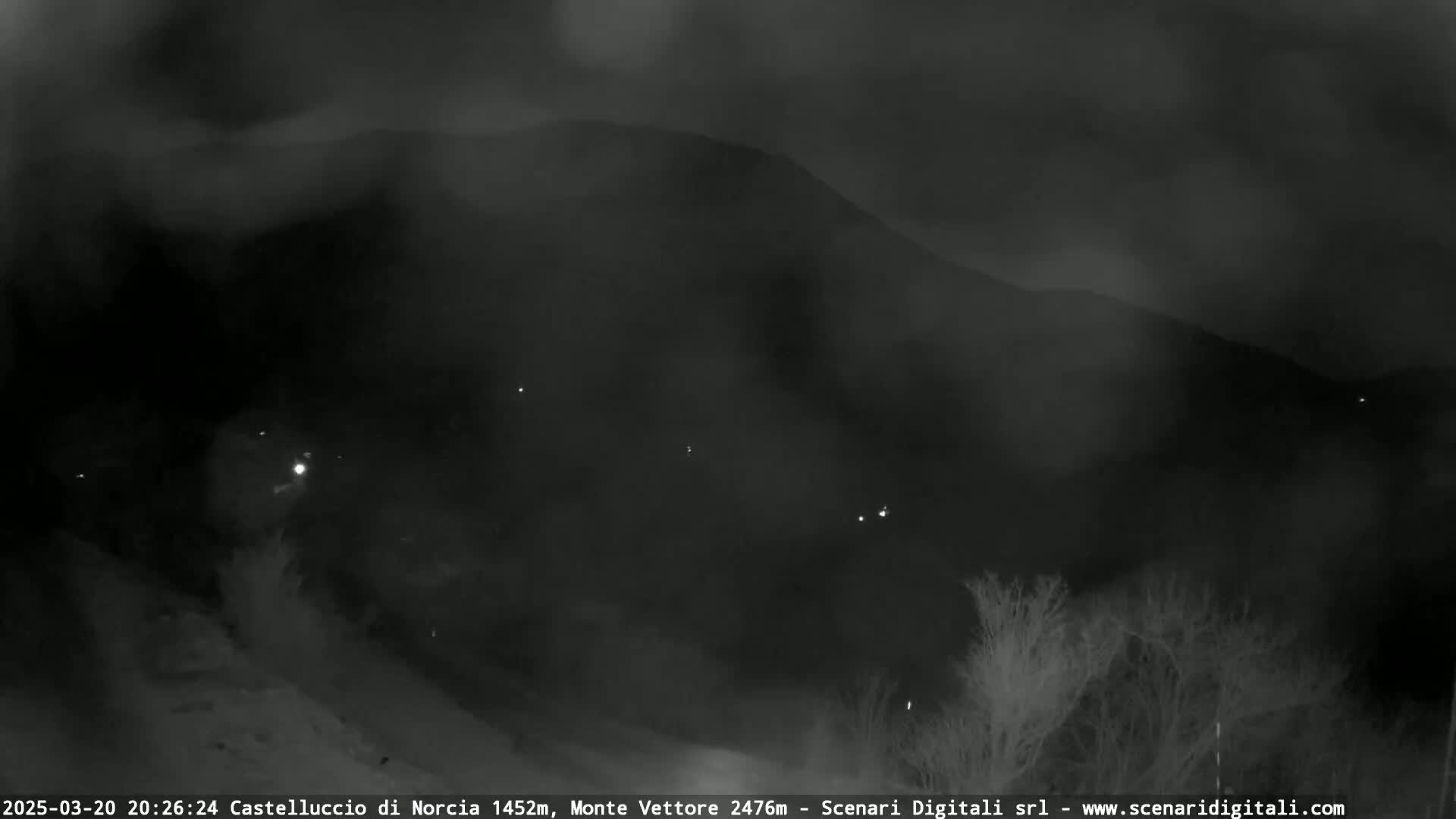A nighttime view of a foggy mountain range with sparse, leafless trees in the foreground.