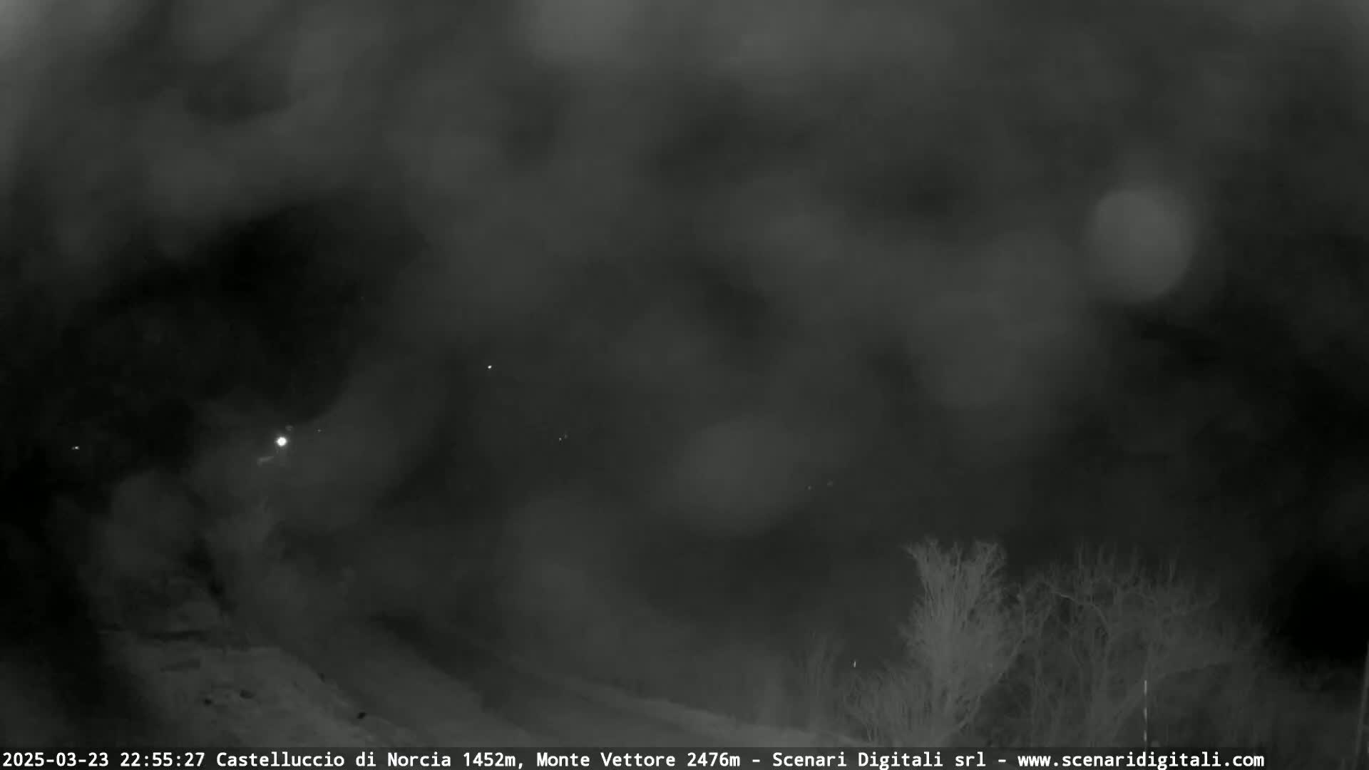 A nighttime, blurry, and foggy view of a landscape with sparse, dark trees.