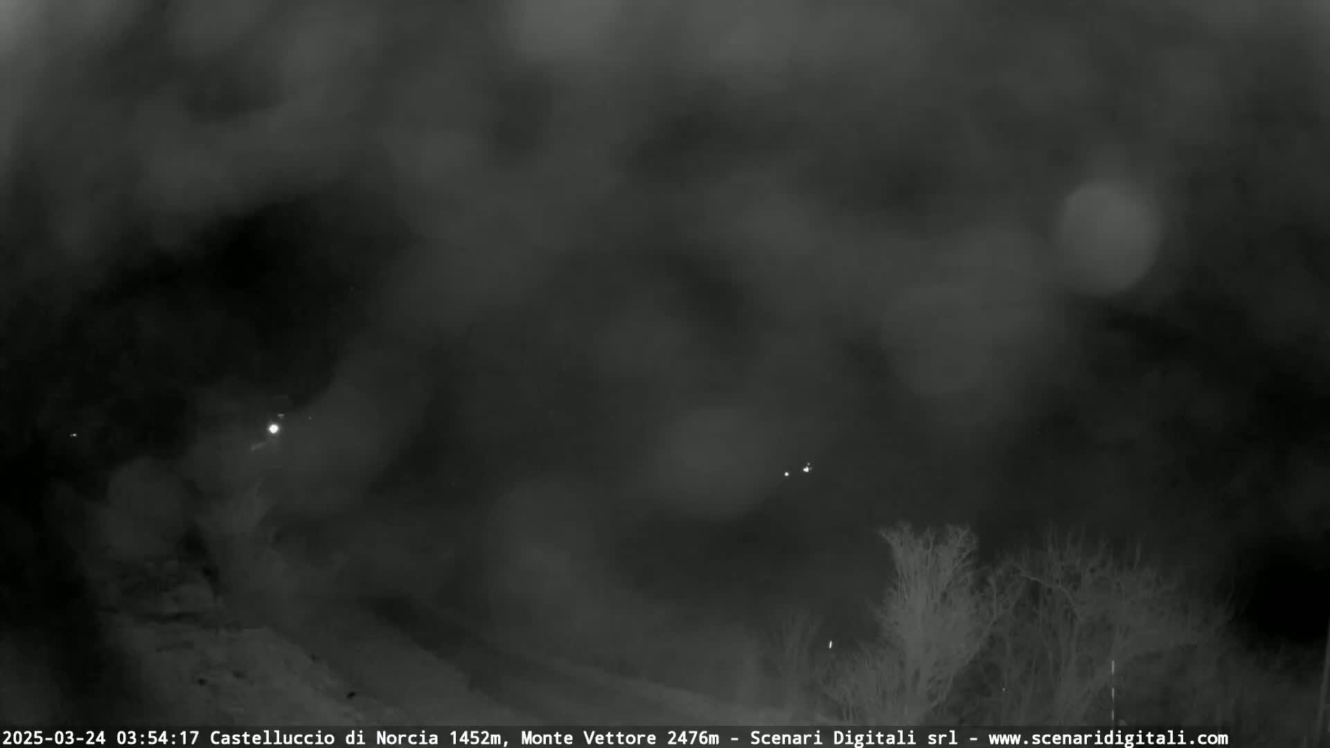 A nighttime, foggy, or hazy outdoor scene shows a dark landscape with indistinct trees and faint lights in the distance.
