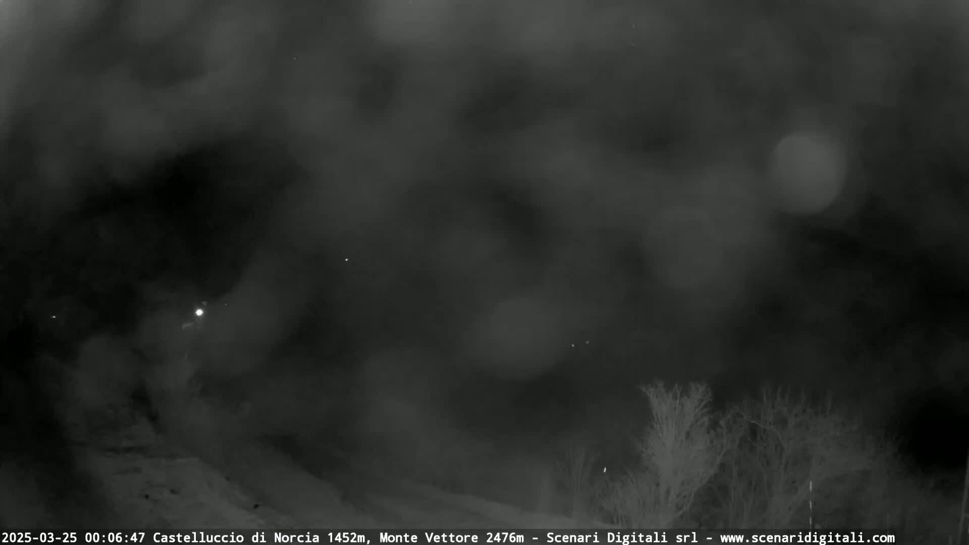 A nighttime, blurry outdoor image shows a dark, foggy or hazy sky above some sparse, dark trees and shrubs.