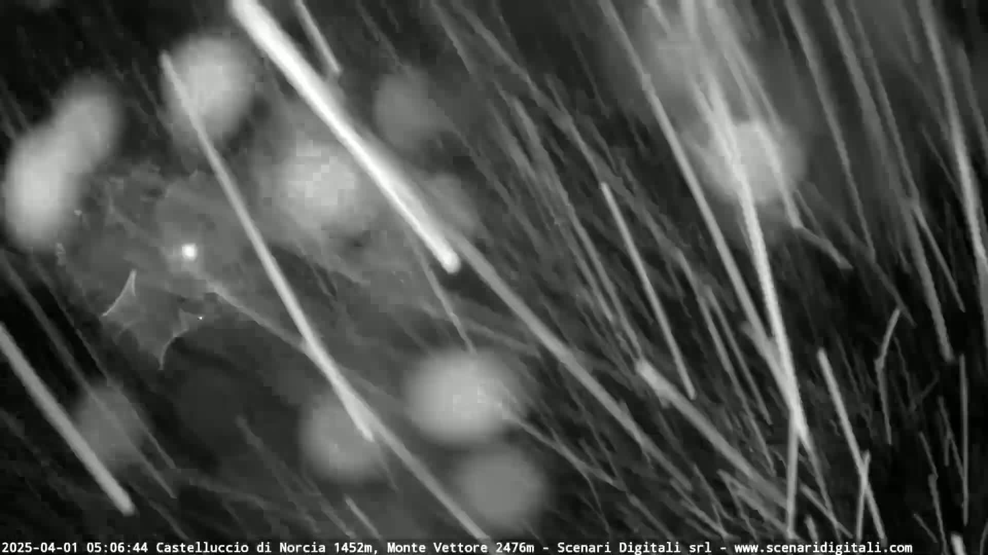A blurry black and white image shows streaks of snow falling heavily in the dark.