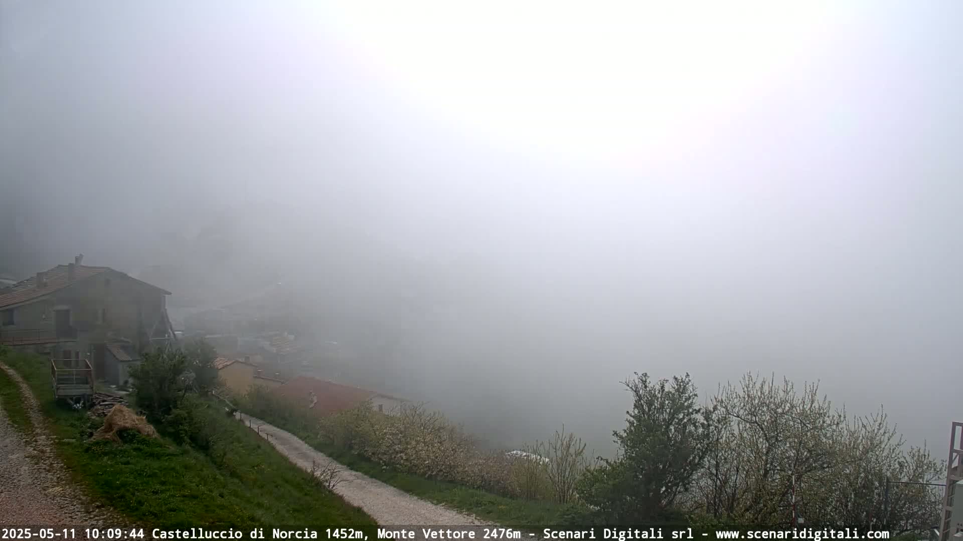 A foggy landscape shows a small village nestled on a hillside with a dirt road leading down from a house.