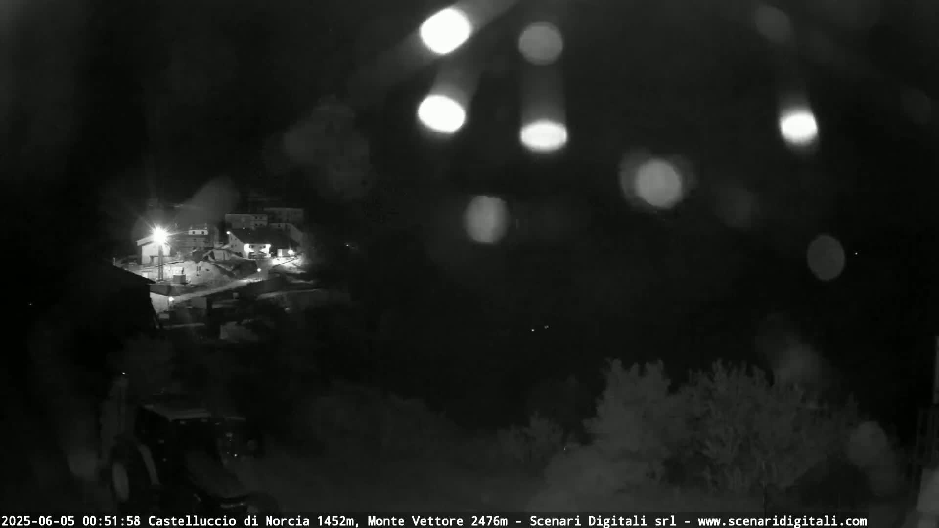 A nighttime view of a small town in the rain, with blurry lights and vegetation visible in the foreground.