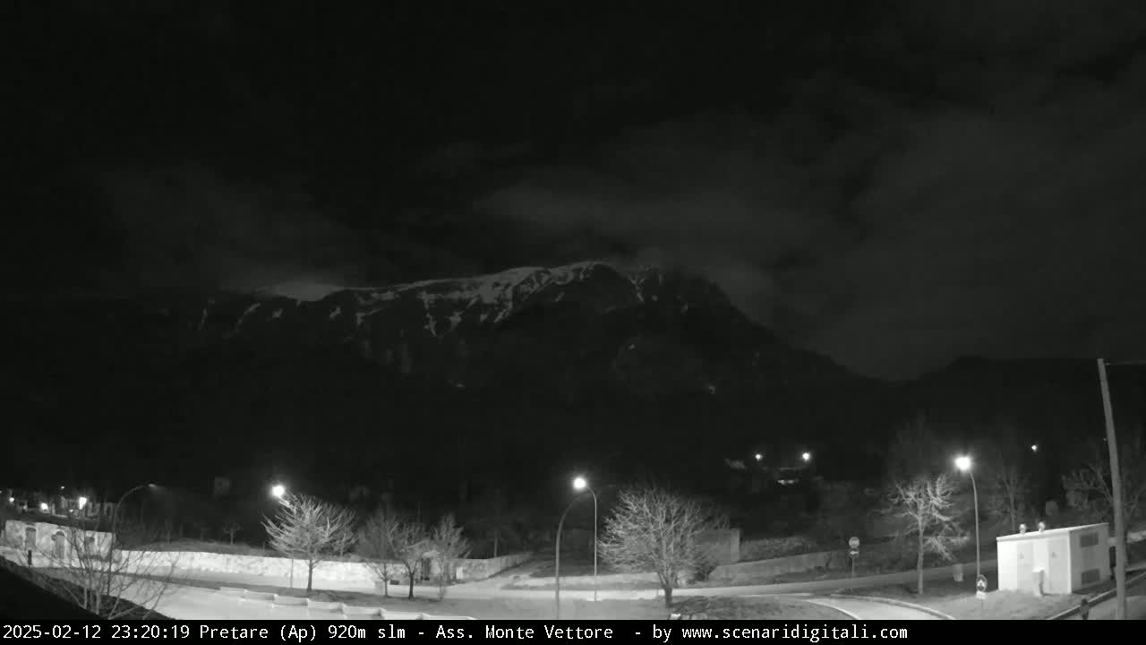 A nighttime, cloudy view of a snow-capped mountain behind a dark, tree-lined roadway with streetlights.