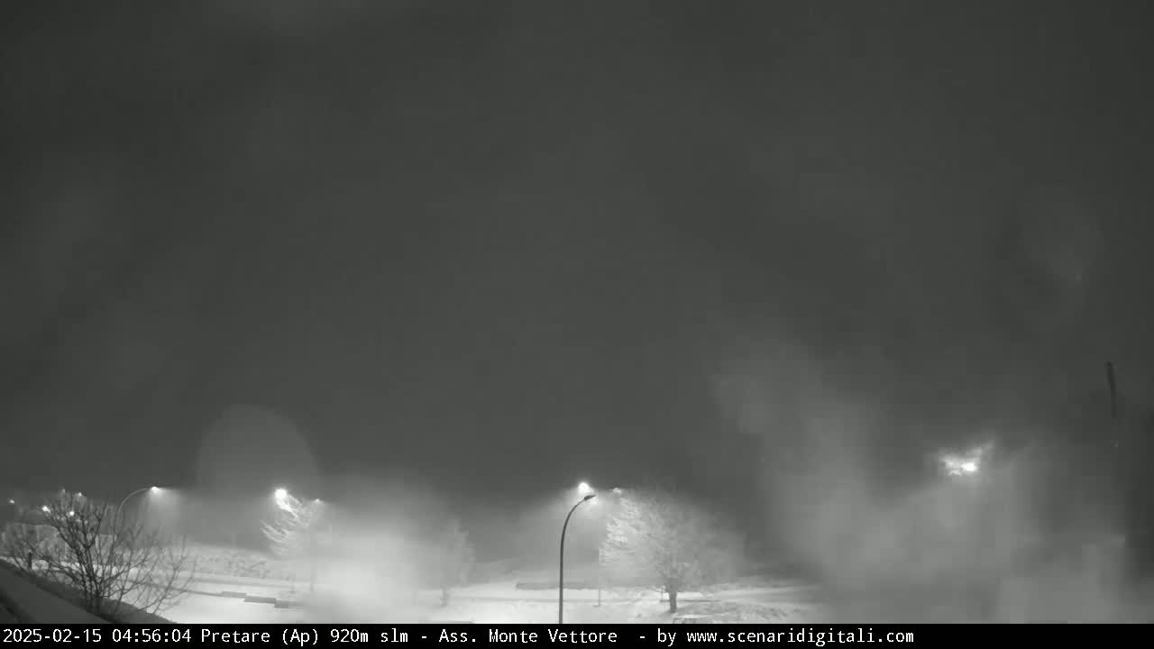 A nighttime scene of a snow-covered landscape with streetlights visible through heavy snowfall.