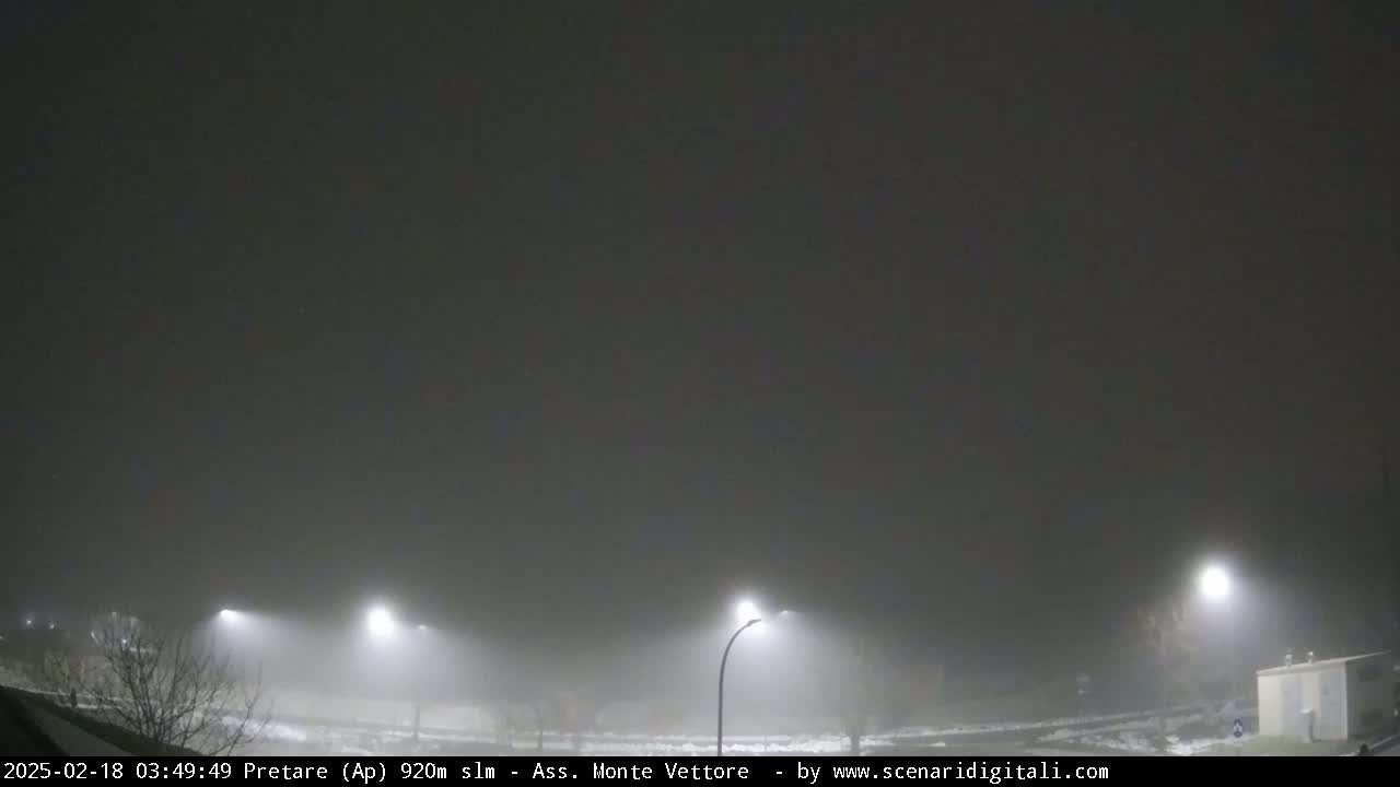 Several streetlights illuminate a foggy, nighttime scene.