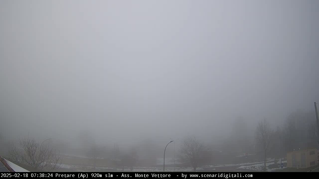 A thick fog obscures a flat, barren landscape with a few leafless trees and a streetlight visible in the mid-ground.