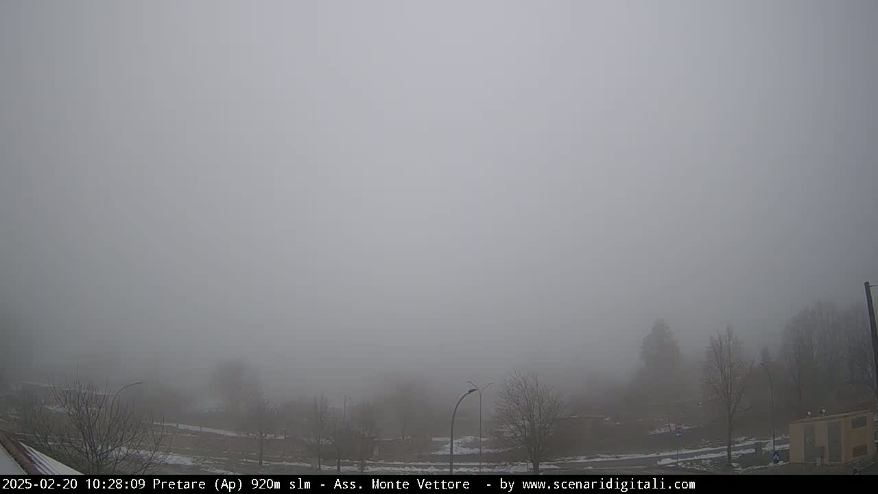A foggy, overcast scene shows a road and bare trees in a sparsely populated area.