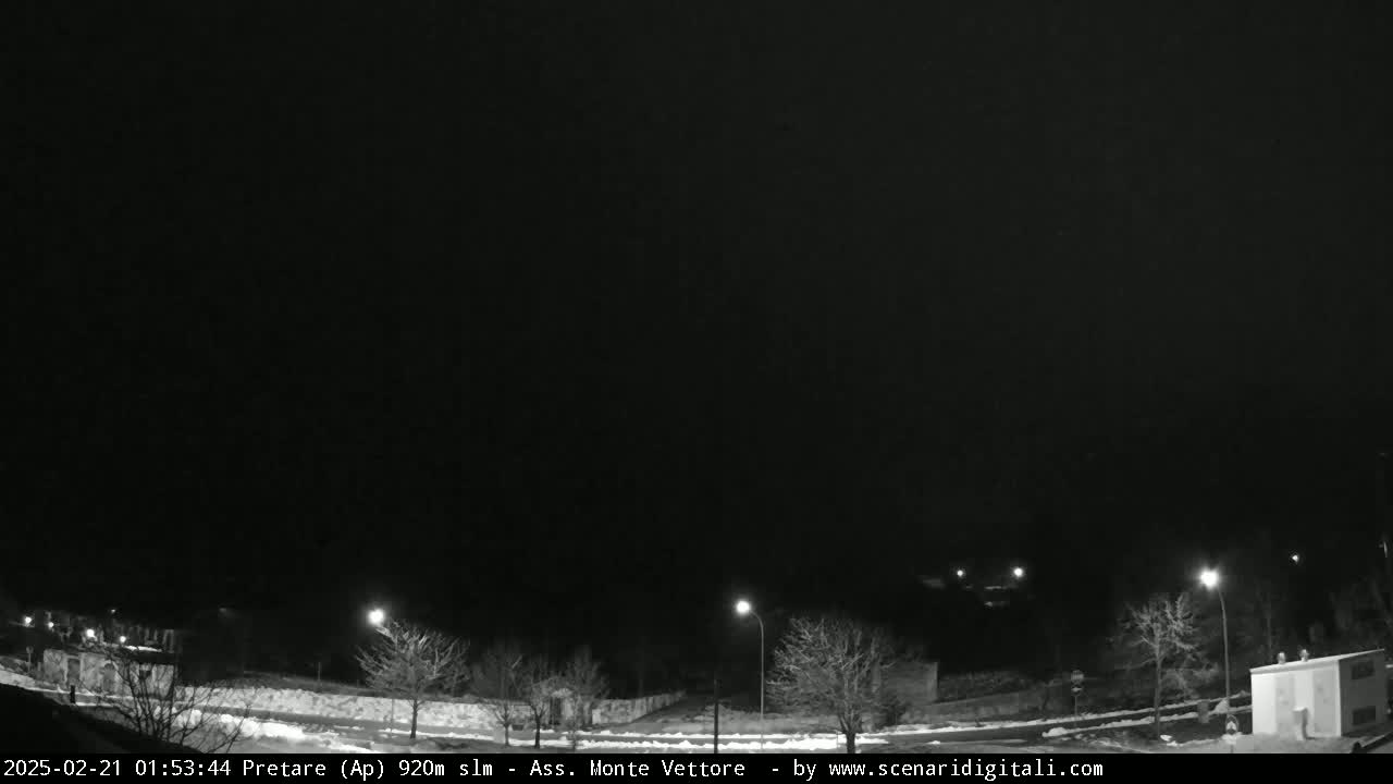 A nighttime, snow-covered landscape is illuminated by streetlights, showing leafless trees and some buildings in the distance under a dark sky.