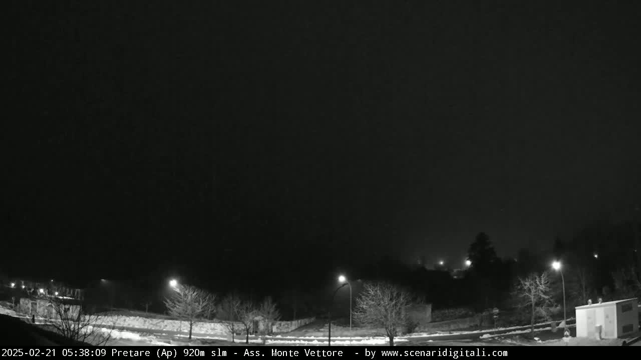 A nighttime, snow-covered landscape with sparsely lit trees and buildings under a dark sky.
