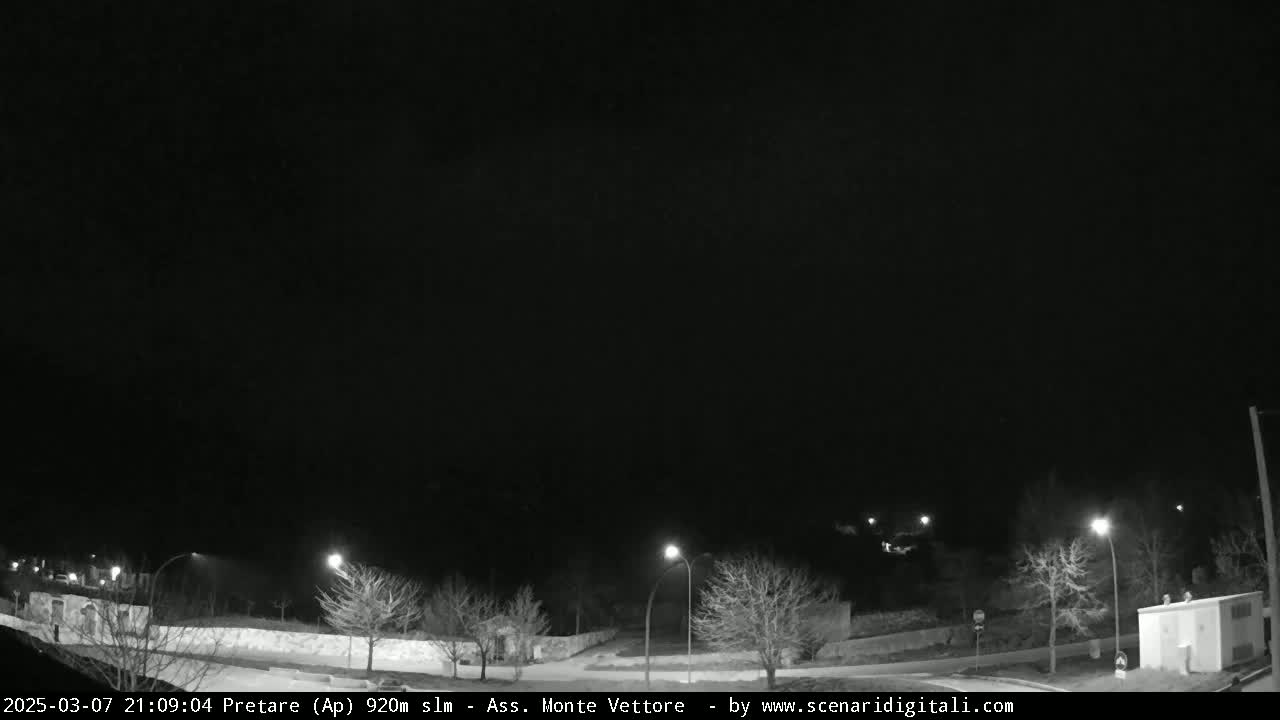 A nighttime view of a road with bare trees and streetlights under a dark, clear sky.