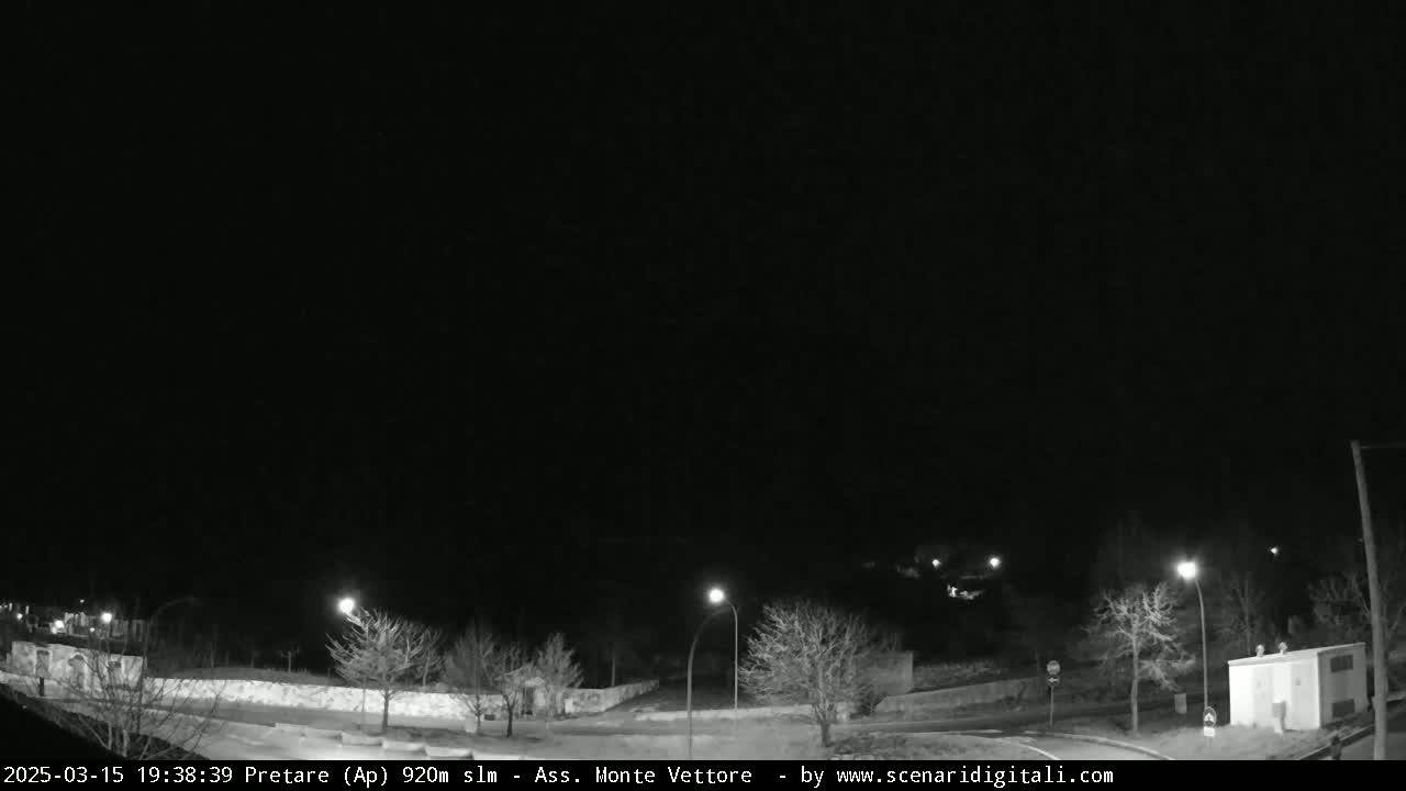 A nighttime, overcast view of a sparsely populated area with several streetlights illuminating leafless trees and a road.