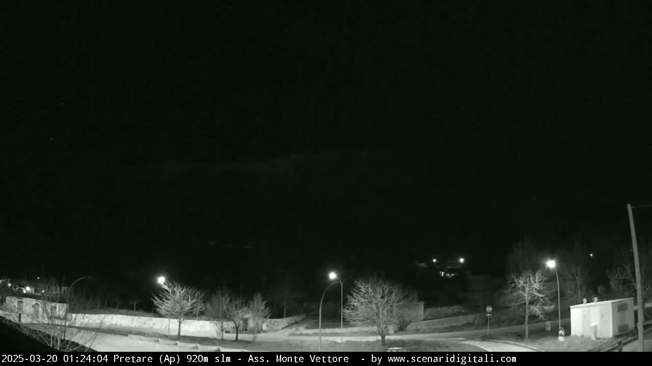 A nighttime, black-and-white view of a sparsely populated area with bare trees and streetlights under a clear, dark sky.