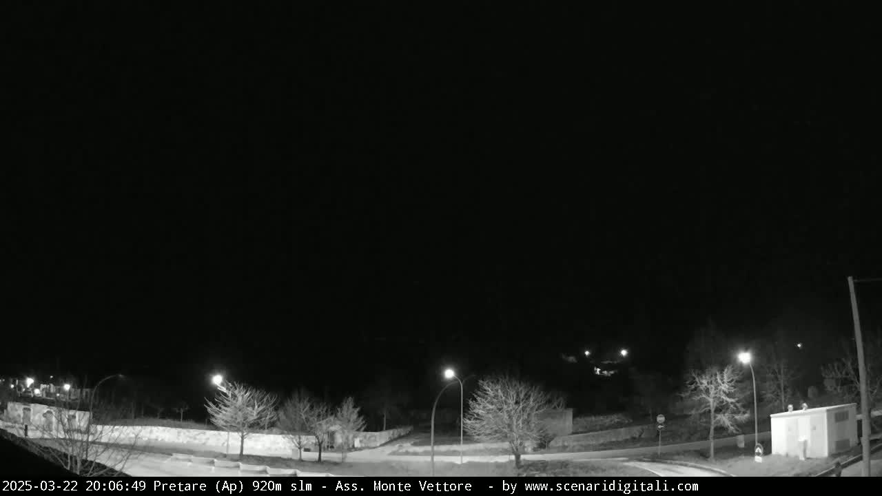 A nighttime, black-and-white view of a sparsely populated road intersection with bare trees and streetlights under a clear, dark sky.