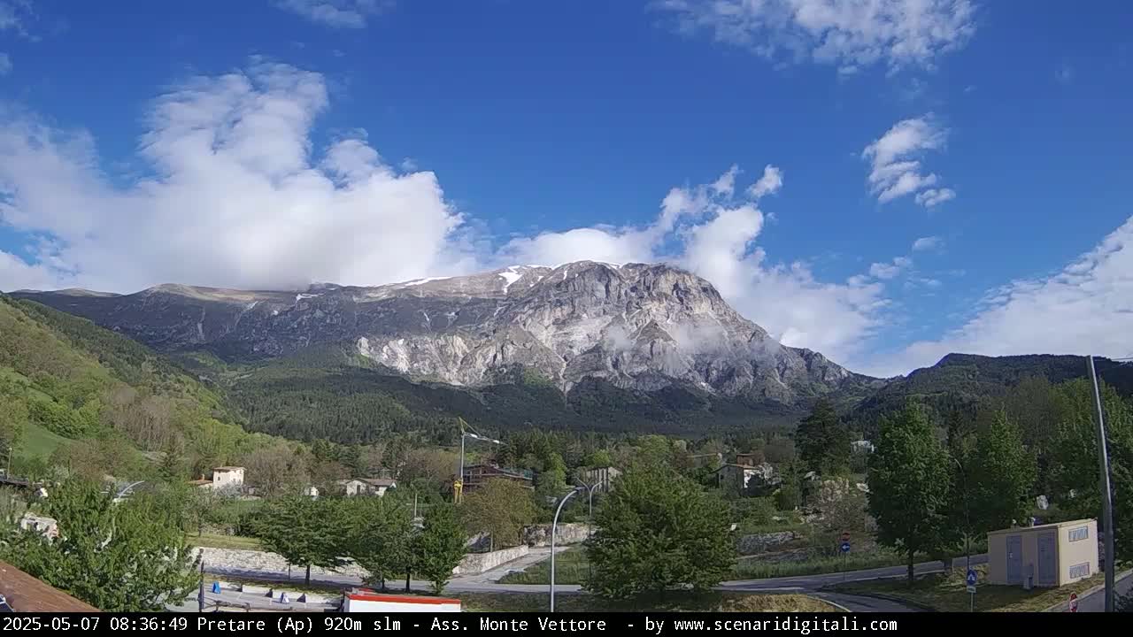 A partly cloudy sky overlooks a valley of green trees and buildings, with a large, snow-capped mountain in the background.