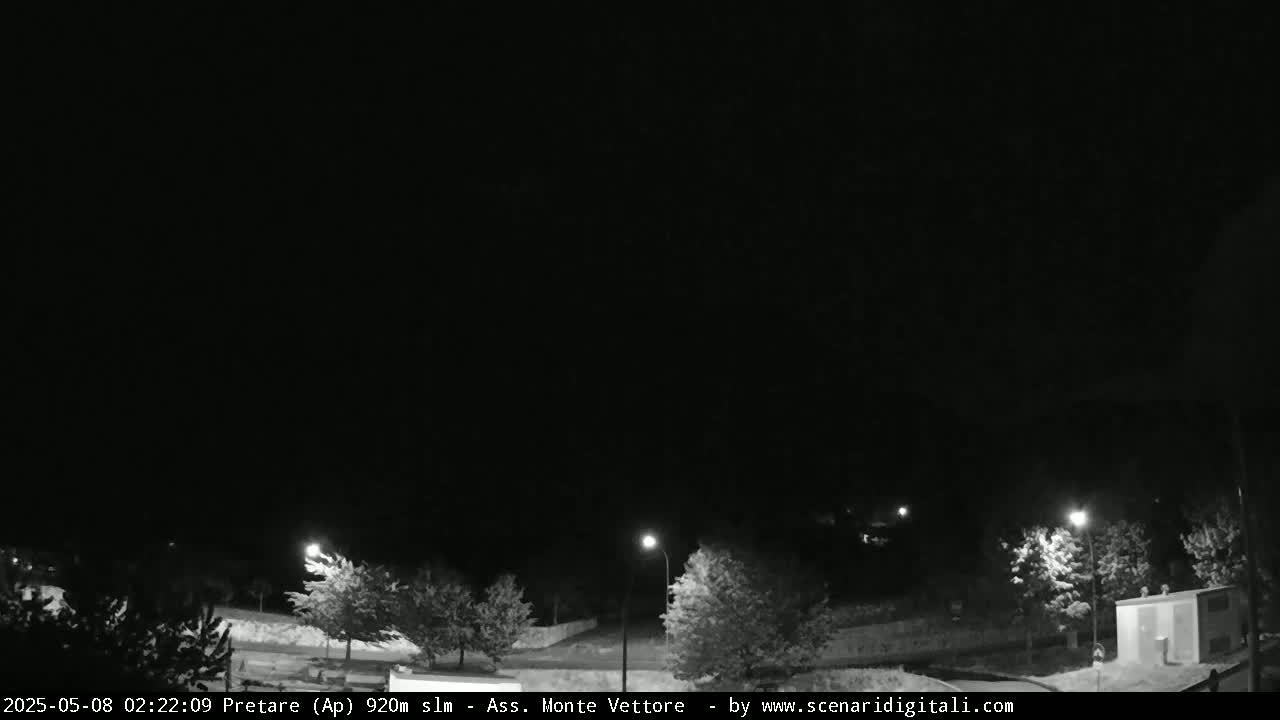 A nighttime view of a dark, empty parking lot with a few trees and streetlights illuminated under a clear, black sky.