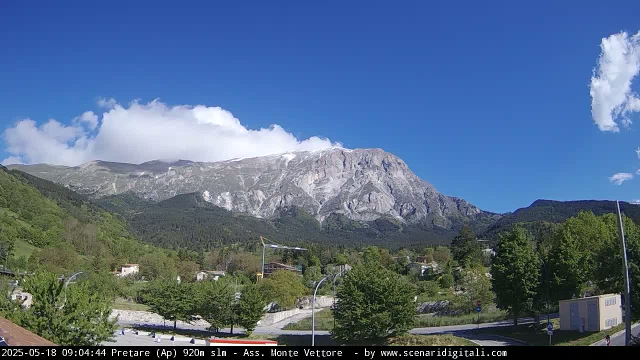 A partly cloudy blue sky overlooks a valley of green trees and a small town, with a large, snow-capped mountain in the background.