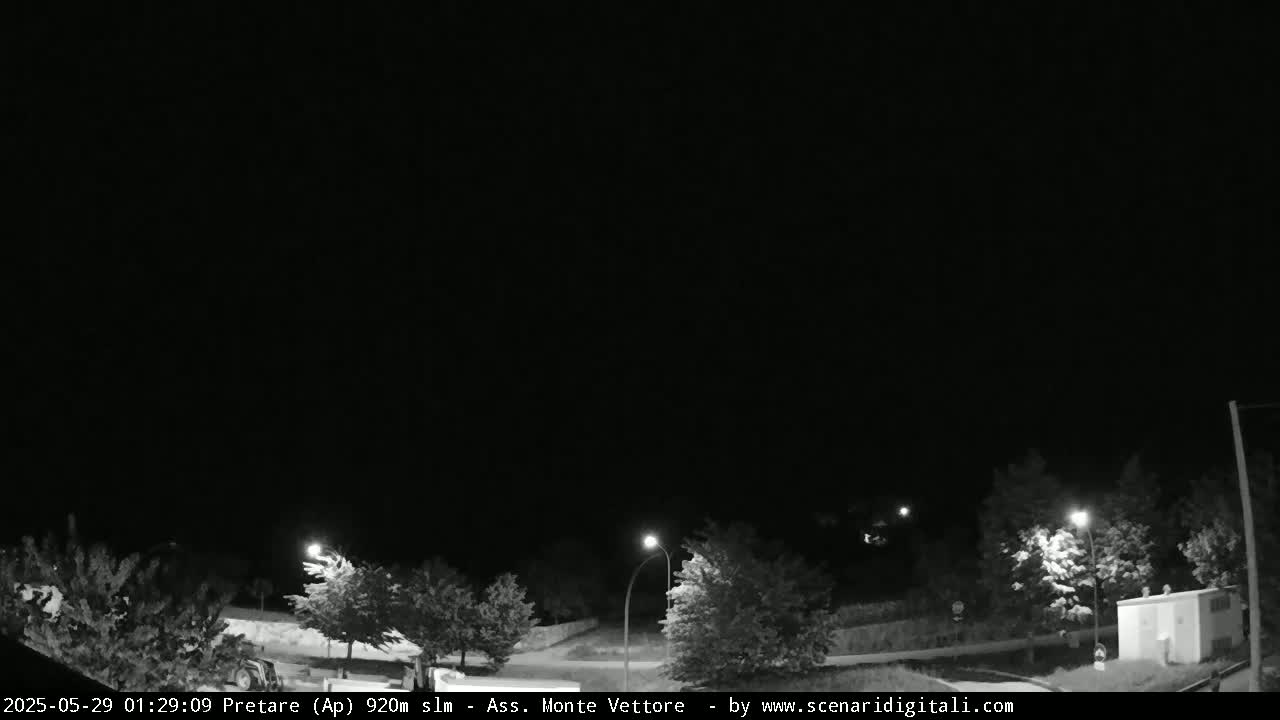 A nighttime, black-and-white view of a road bordered by trees and lit by streetlights.