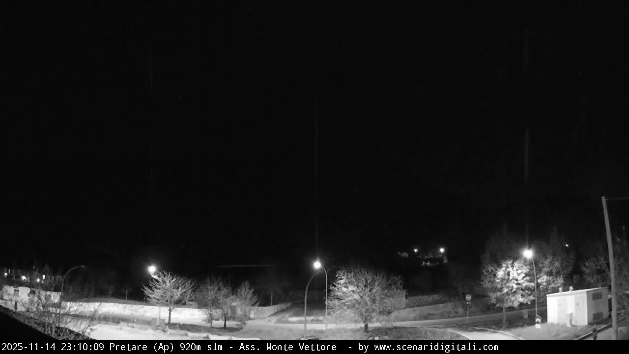 A black and white outdoor image at night reveals a quiet, clear scene with bare trees, a road, and distant buildings illuminated by several streetlights under a dark sky.