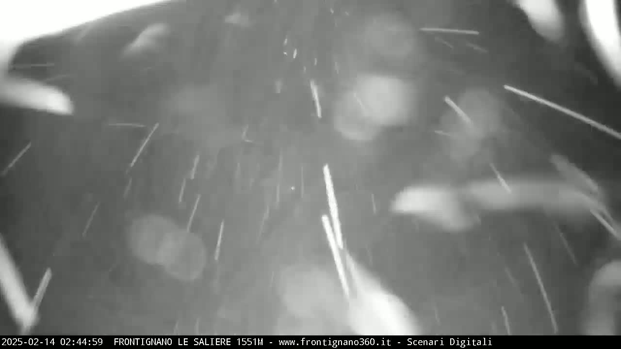 A blurry, grainy, monochrome image shows heavy snowfall at night.