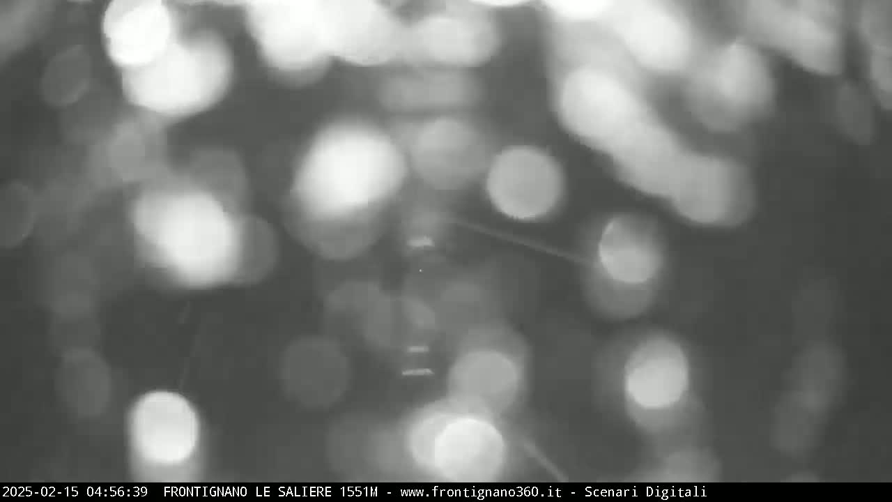 A blurry, out-of-focus grayscale image shows bright, circular bokeh shapes suggestive of light shining through foliage.