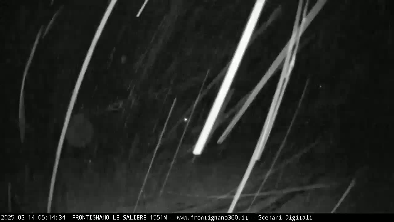 Bright streaks of light cross a dark, nighttime scene speckled with falling particles.