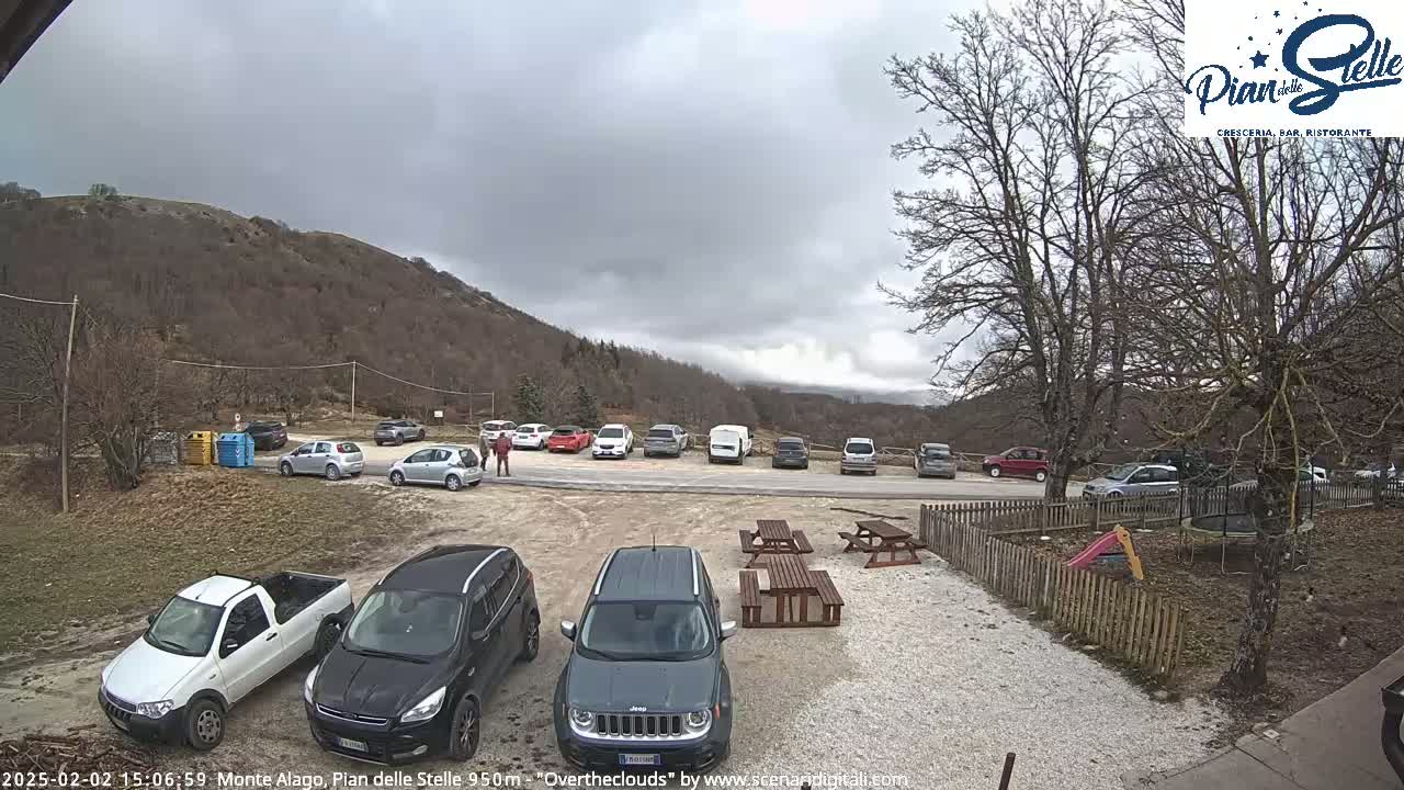 A parking lot with several cars and a pickup truck sits below a hill covered in leafless trees under an overcast sky.